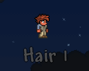 Hair 1.png