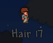 Hair 17.png