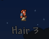 Hair 3.png