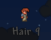 Hair 9.png