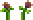 Jungle Rose (placed).png