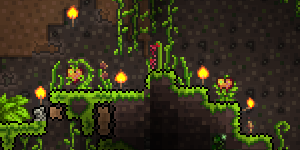 Lifefruit injungle.png