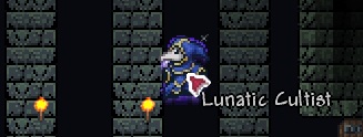 Lunatic cultist.jpg