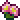 link=Pink Prickly Pear