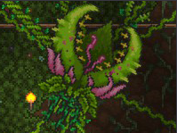 Plantera2.png