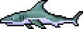 Shark.png